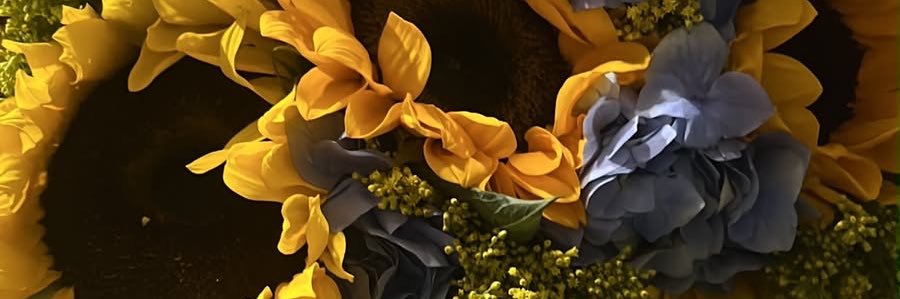 Fagesis's profile banner image