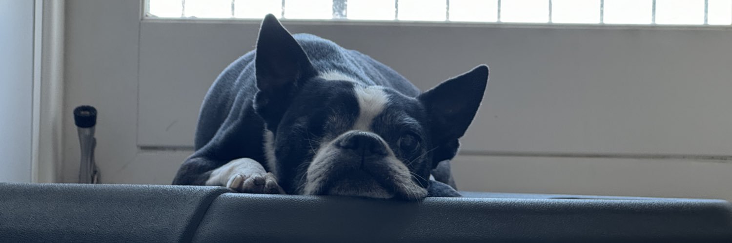 ヨーヘイ/Animator banner