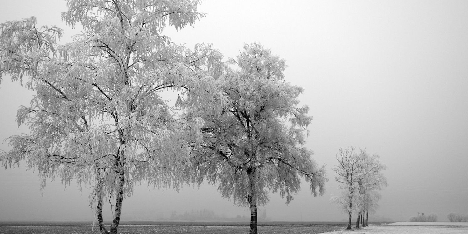 SurenGovenden's profile banner image