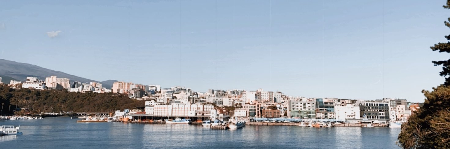 annaibib's profile banner image