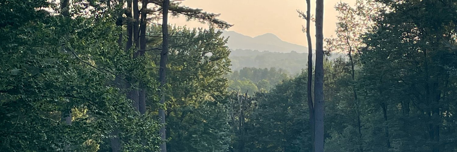 chrisdavid1's profile banner image