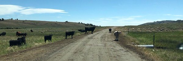 overlandguy Profile Banner