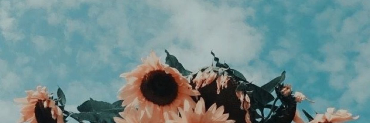 dencigliutti's profile banner image