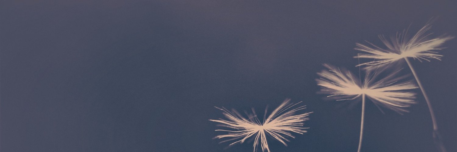 sidnamc's profile banner image