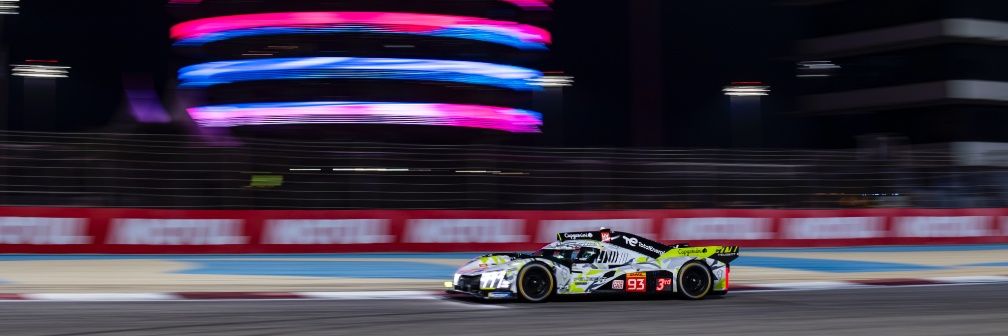 Sarah 🏎️🐎👾⚽ banner