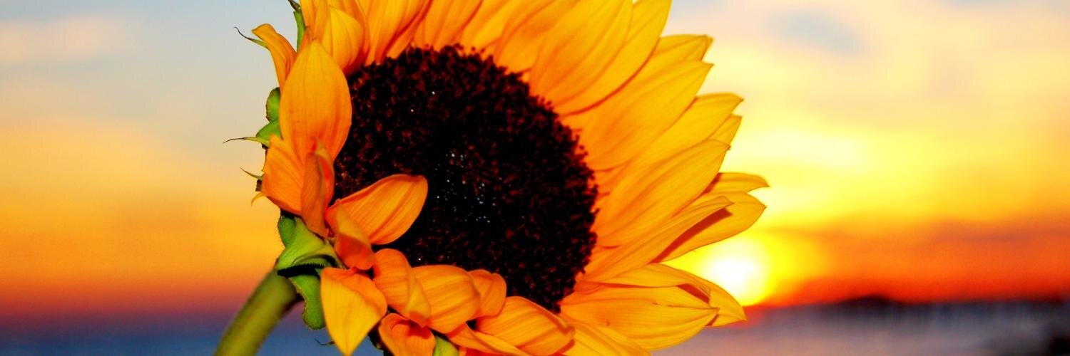 Iduntje's profile banner image