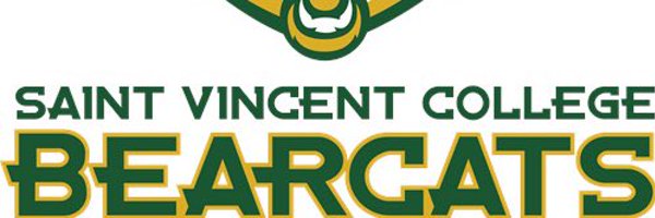 BaseballSVC Profile Banner