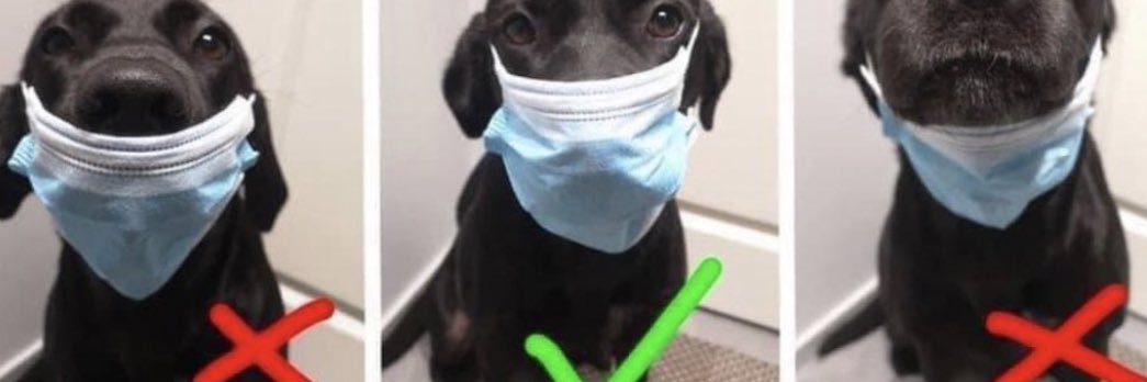 Frankie Barnhill banner