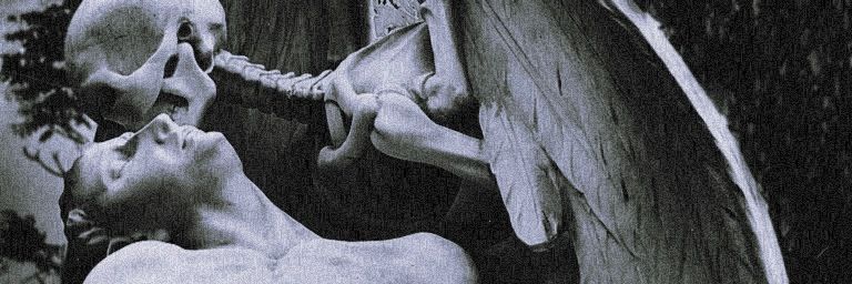 adellarii's profile banner image