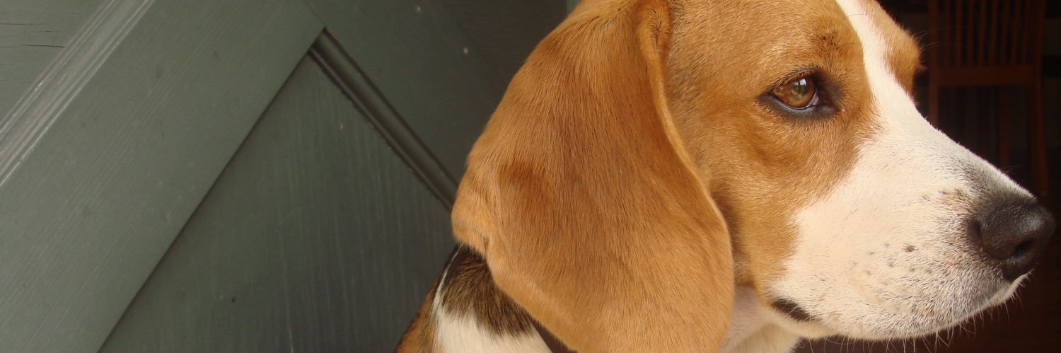 fuckingposer_'s profile banner image