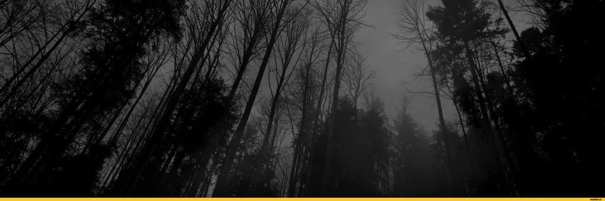 fiberopticmind's profile banner image