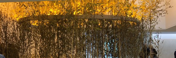 Clmumme Profile Banner