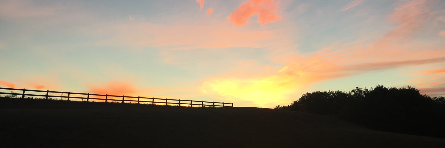 MissSymes's profile banner image