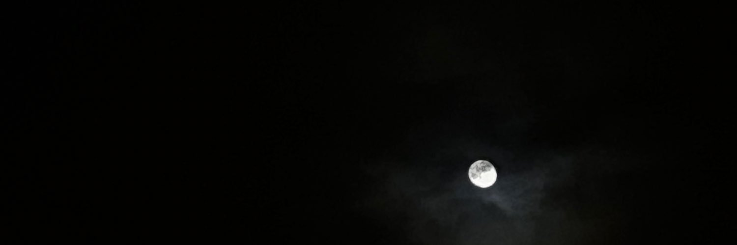 saronany's profile banner image
