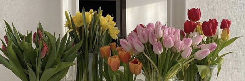 madeline_dog's profile banner image