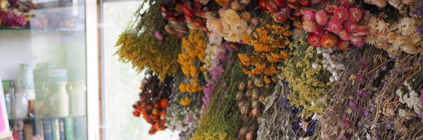 m_boecker's profile banner image