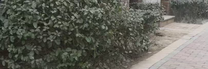 _4673628025831's profile banner image