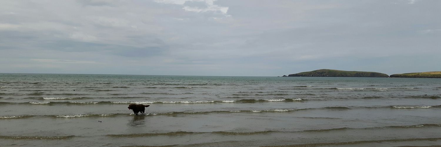 SwimBackwards's profile banner image