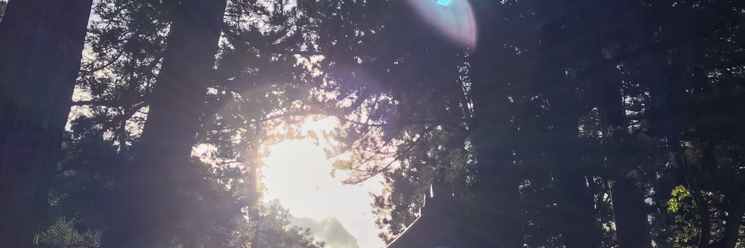 Ajustha_'s profile banner image