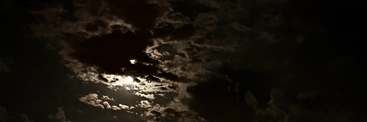 allmnjle's profile banner image