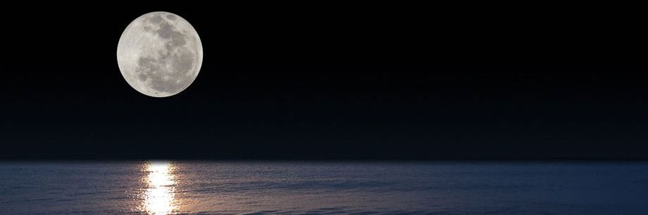 magaportillo_'s profile banner image