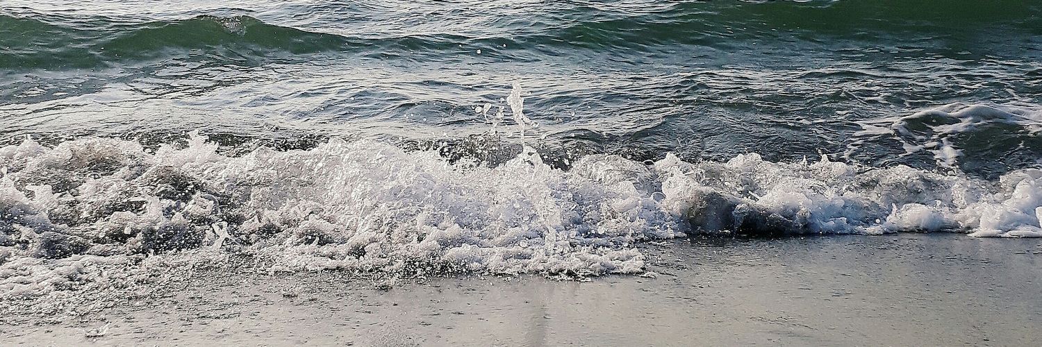 chummibear's profile banner image