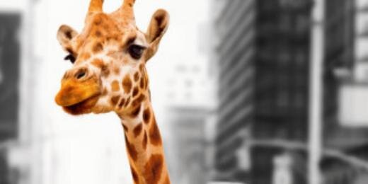SergiovolSWAGen's profile banner image