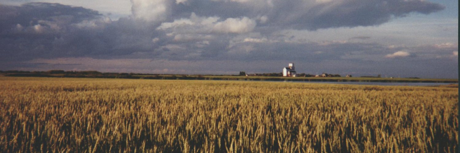 Shon Ferguson 🇨🇦🇸🇪 banner