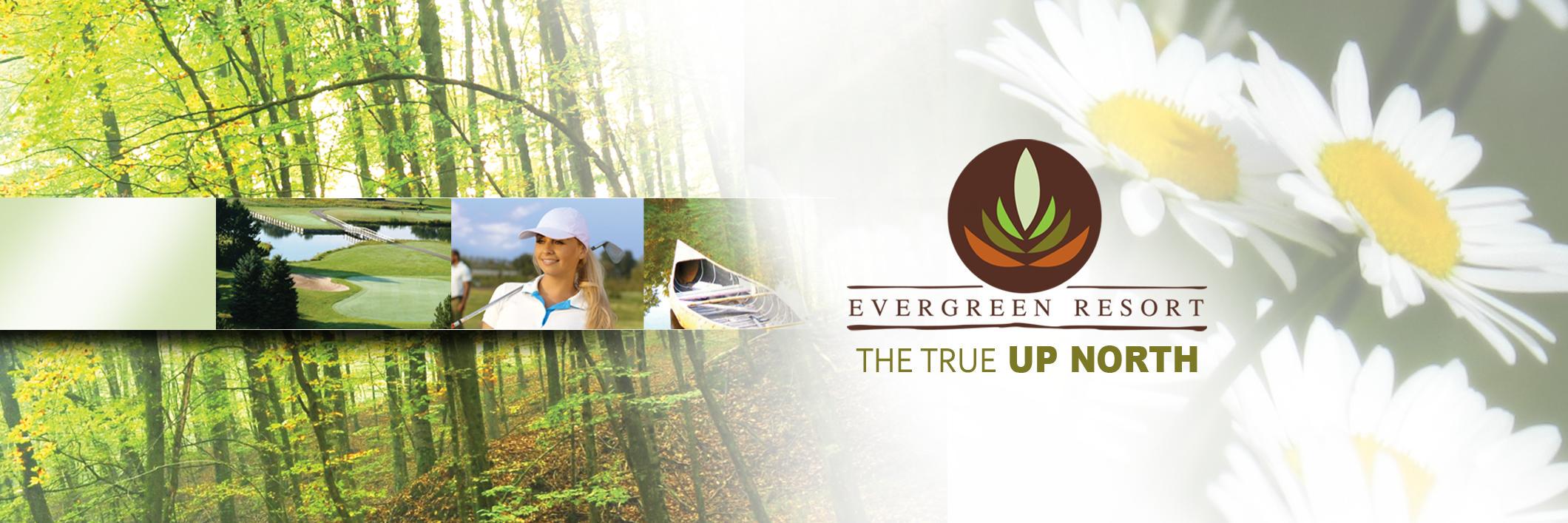 evergreenmi's profile banner image
