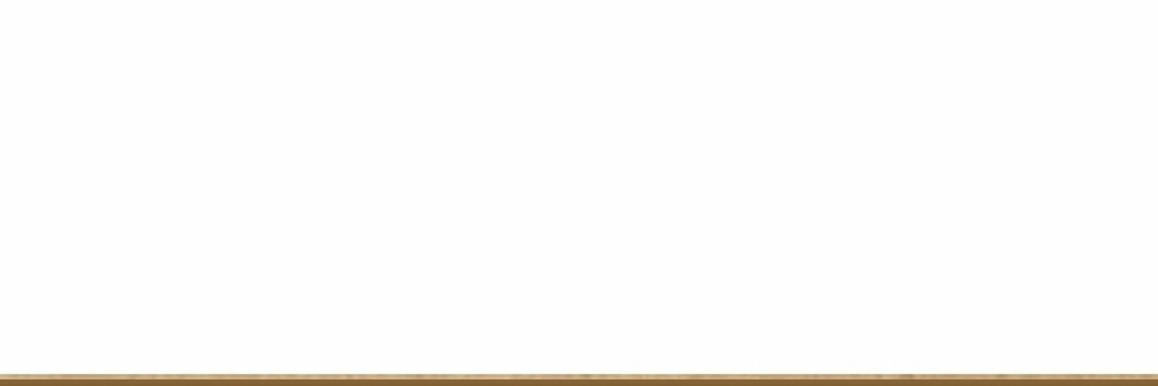 🕊 banner