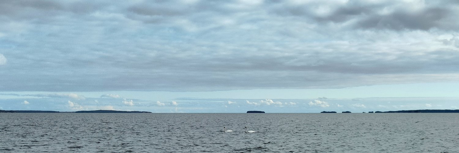 aatolffi's profile banner image