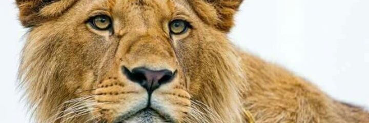 Philiphokpe's profile banner image