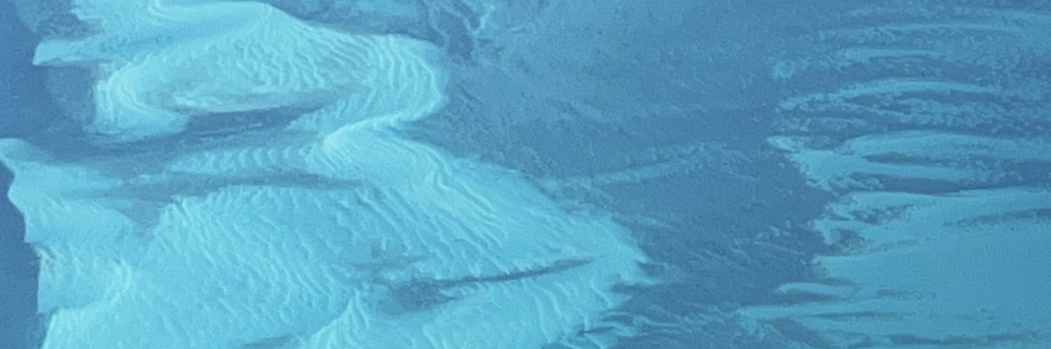 soyamarisha's profile banner image