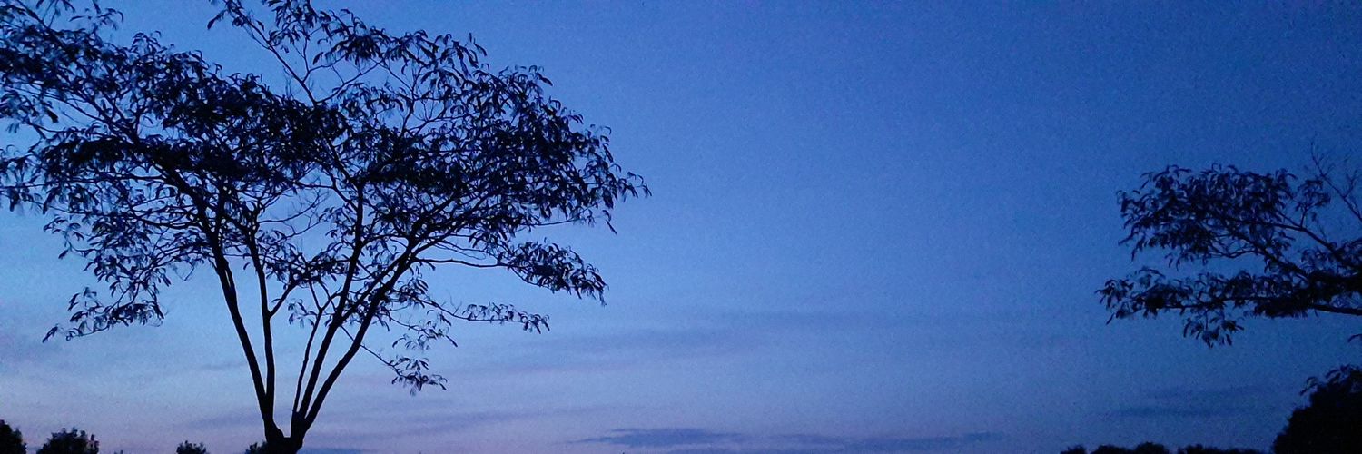fradv71's profile banner image