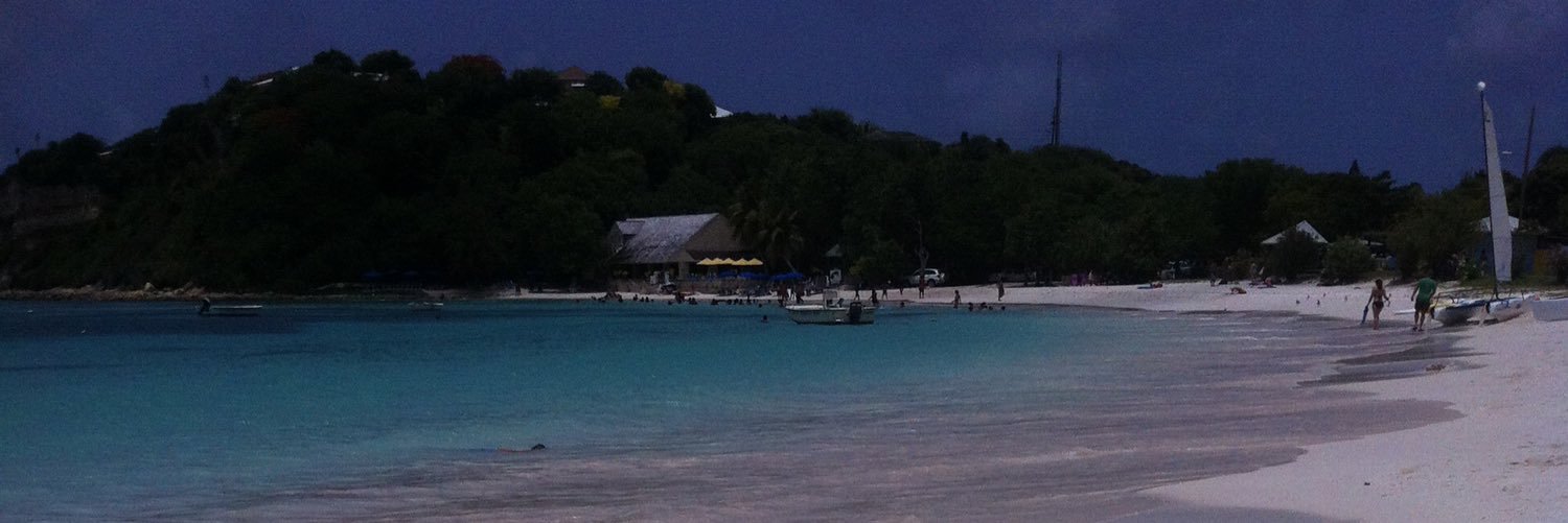 Michelle Hearn banner