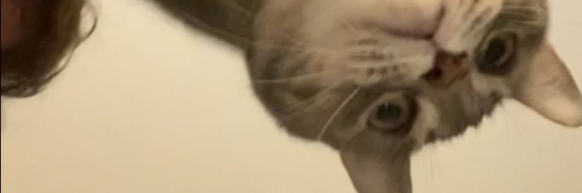 claud_fat's profile banner image