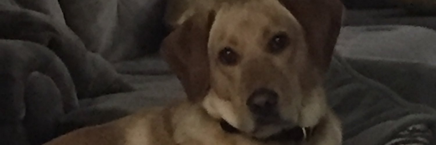 SeanPavs83's profile banner image