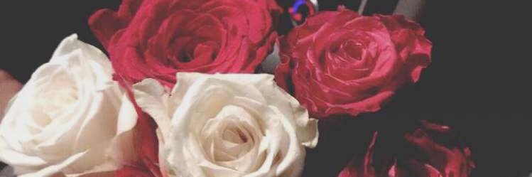 taif_alyaly's profile banner image