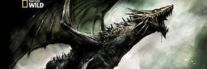 Iworknightshift's profile banner image