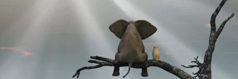 Higgo07's profile banner image