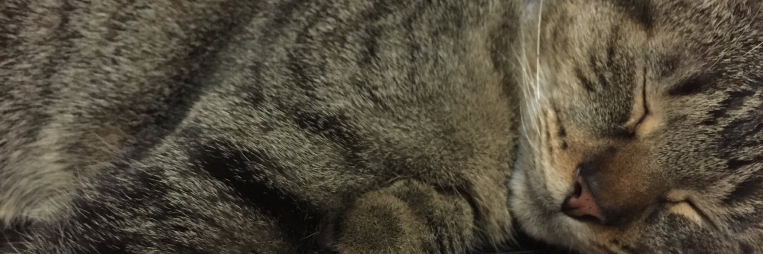 Sami_Aristi's profile banner image