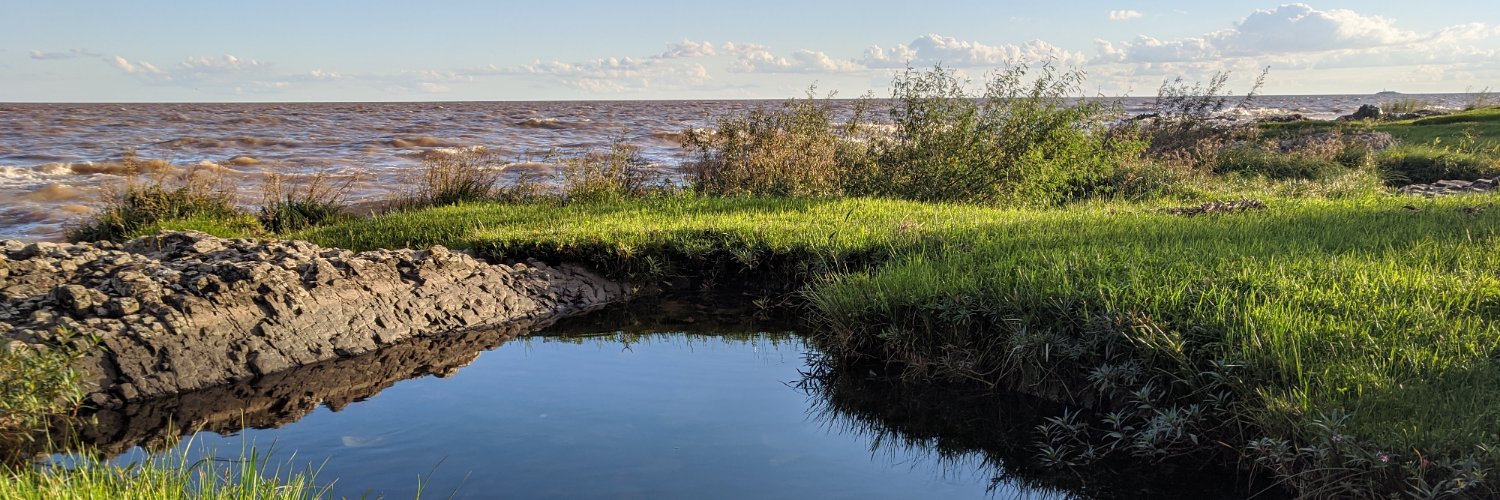 Maximo Mussini banner
