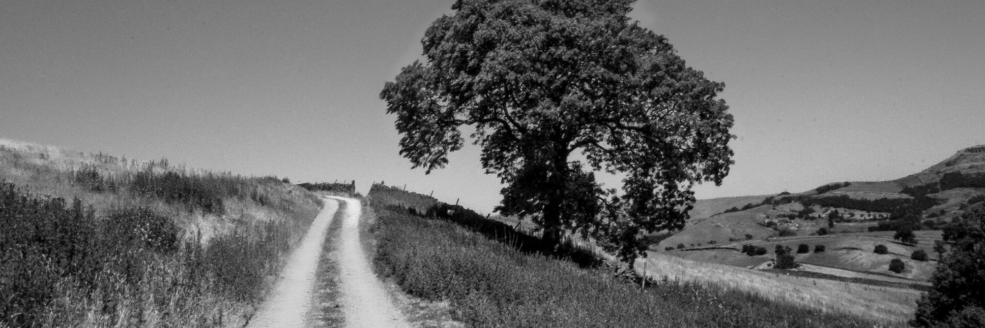 redellison's profile banner image