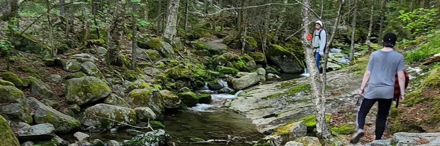 JasSheets3's profile banner image