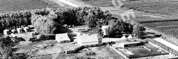 ErickBoe Profile Banner