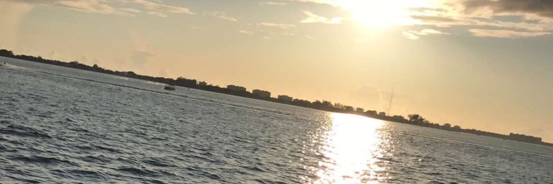ryfly33's profile banner image