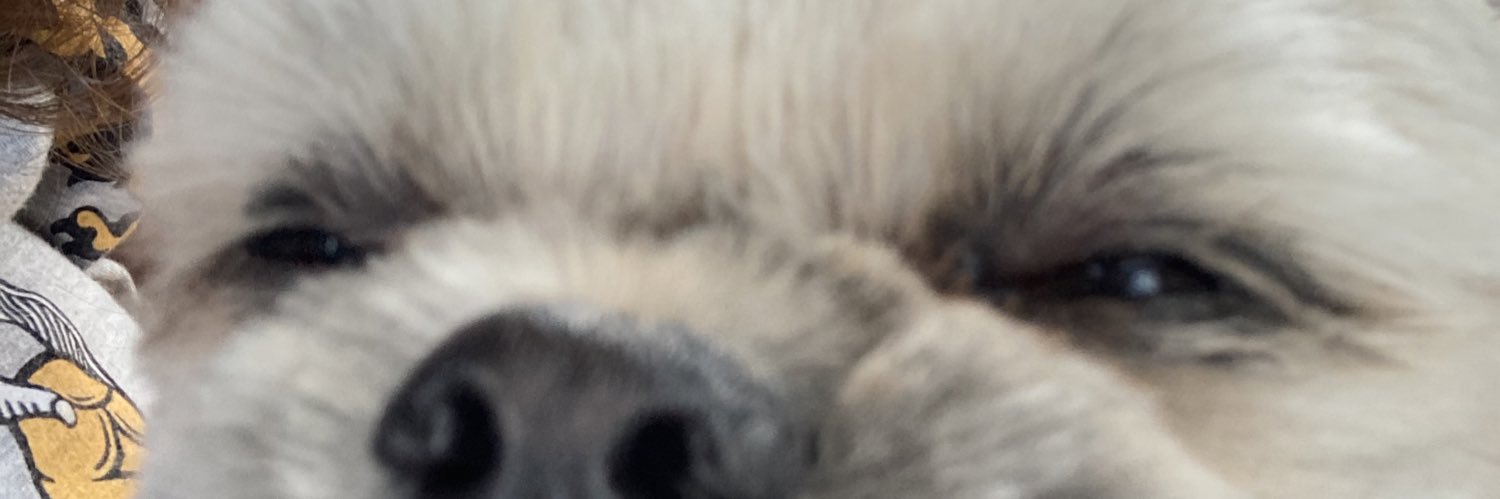 dtrobichaud's profile banner image