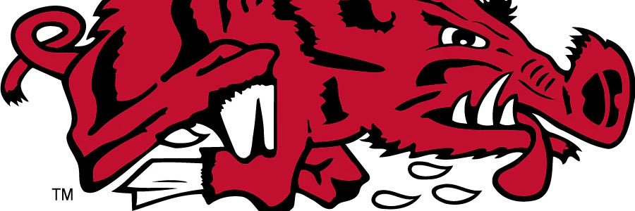 tbiddle007's profile banner image