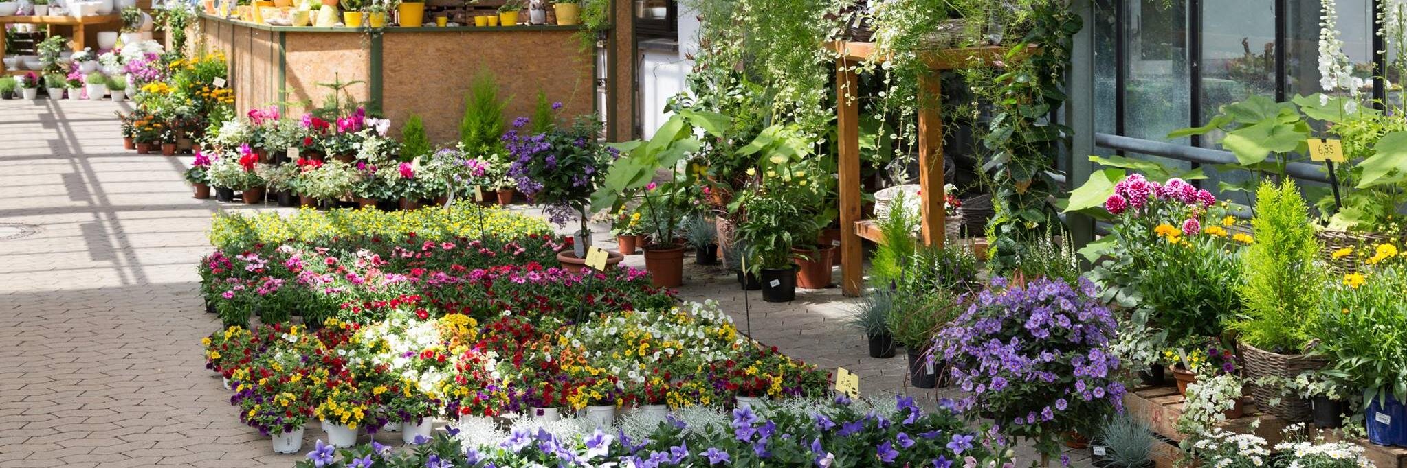 GardenerDirect's profile banner image