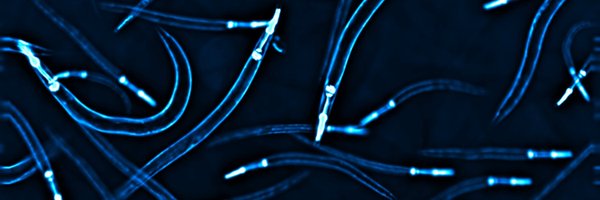 CahoonCori Profile Banner